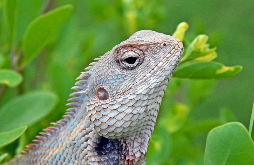 Photograph by Bhagirath Trivedi