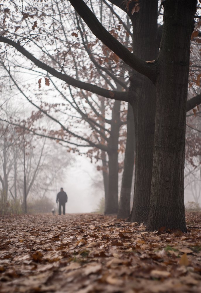 Photograph by Владимир Парадный