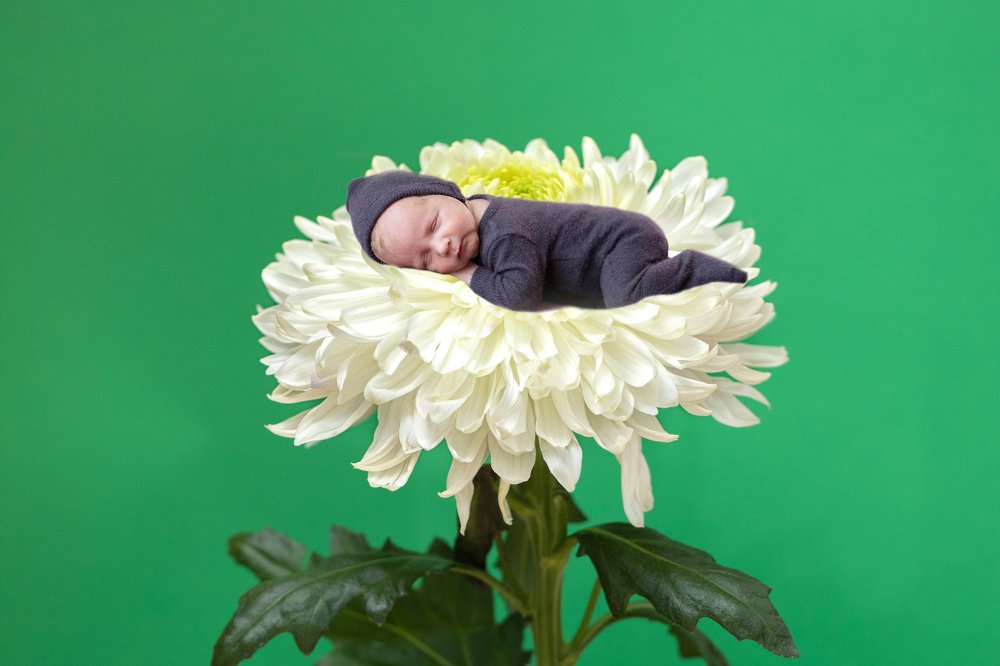 Photograph by Агарков Алексей