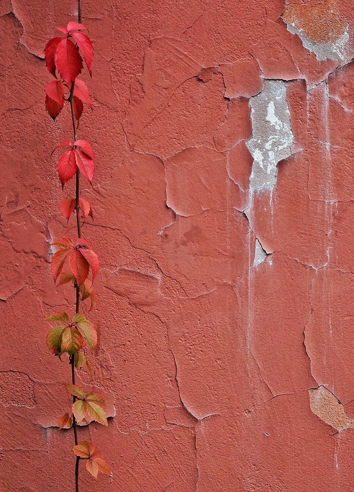 Photograph by Александра Морозова