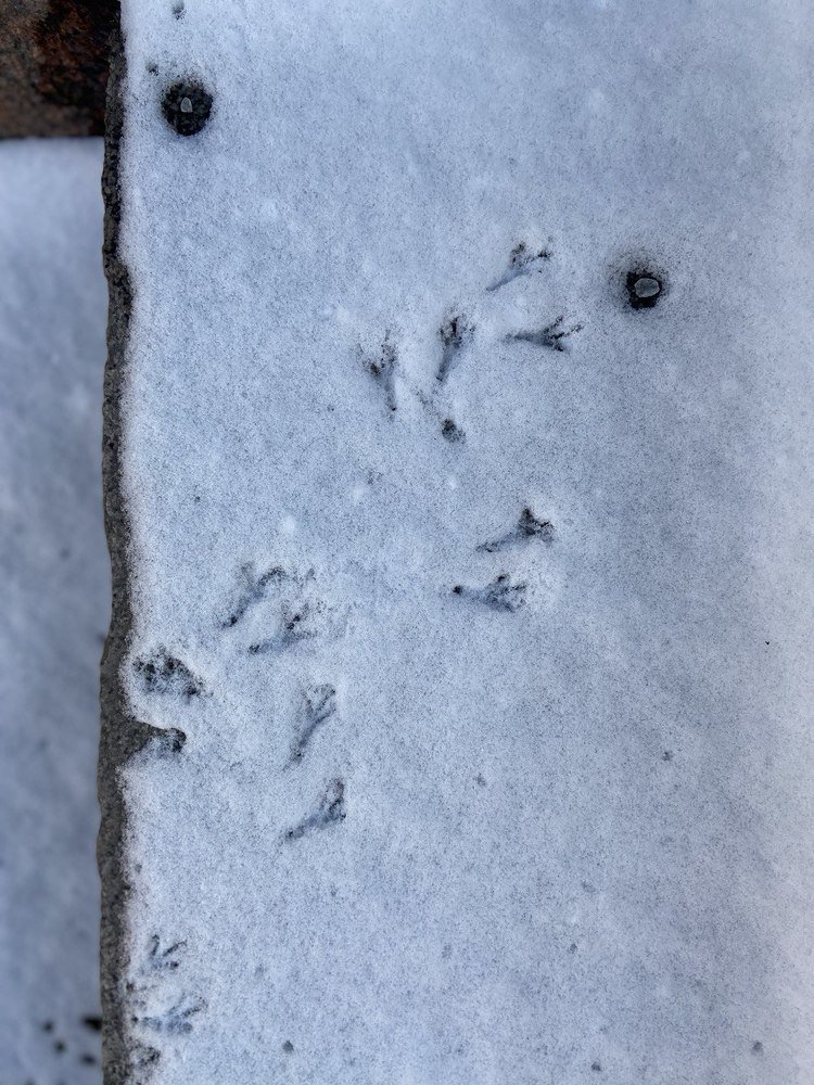 Photograph by Александра Морозова