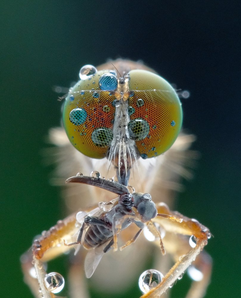 Photograph by Chuah Christopher