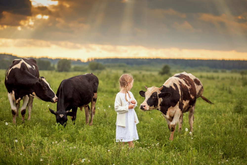 Photograph by Наталья Сидорова