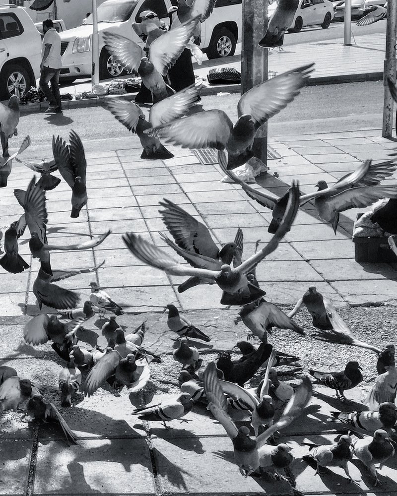 Photograph by Shumi Noor