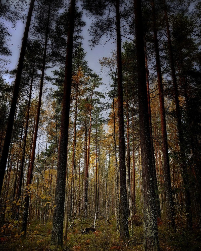 Photograph by Наталья Абилова