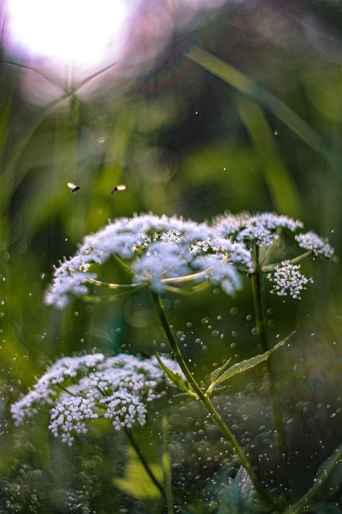 Photograph by Ольга Резникова