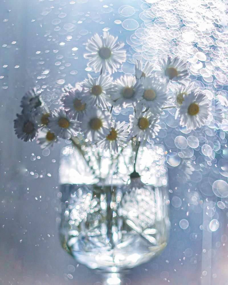 Photograph by Ольга Резникова