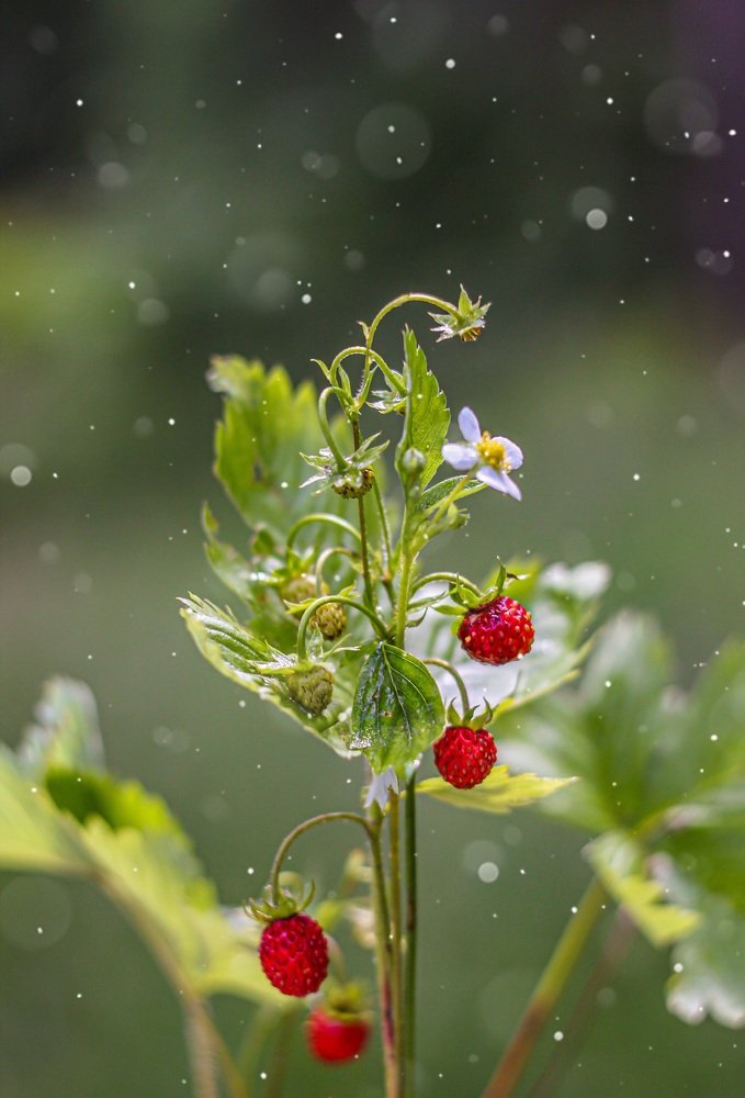 Photograph by Ольга Резникова