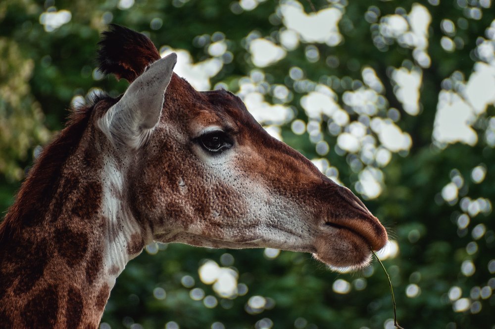 Photograph by Александр Гамалеев