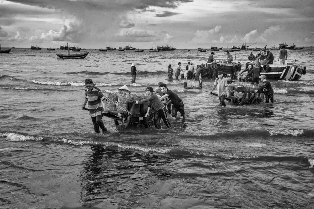 Người vận chuyển