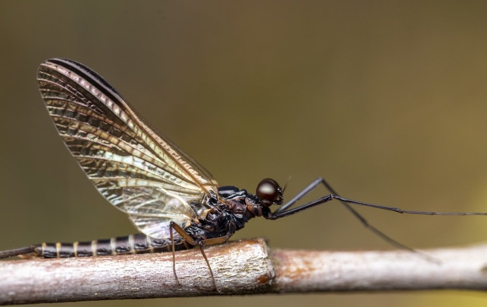 Photograph by Глеб Коровко