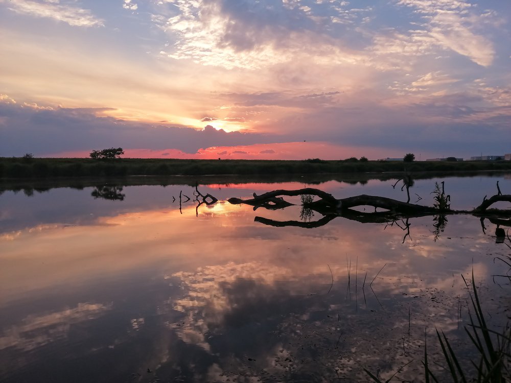 Photograph by Snežana Janković