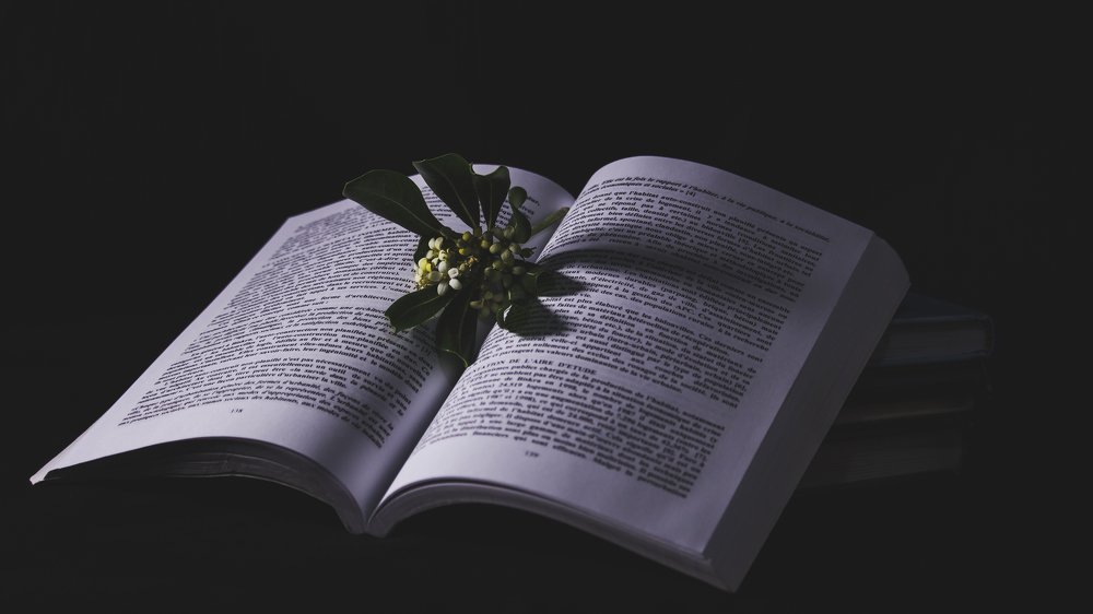 Photograph by Aissa Haffar