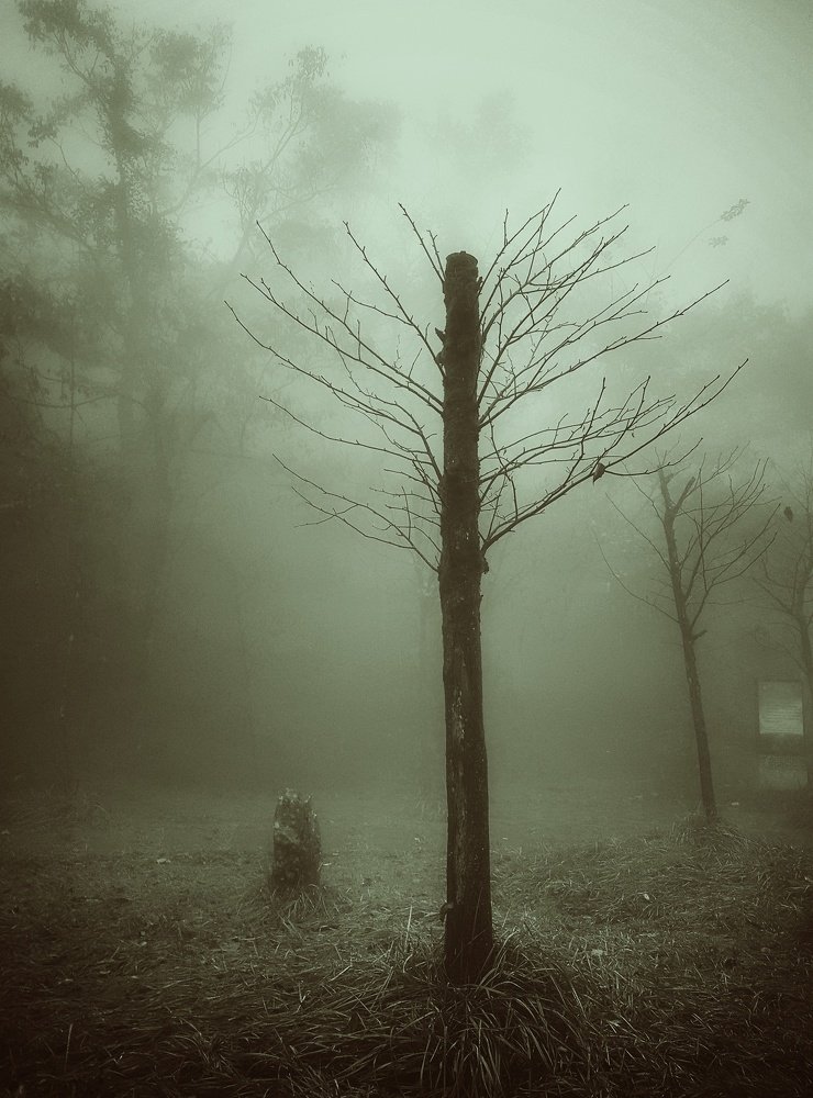 Photograph by Анастасия Петухова