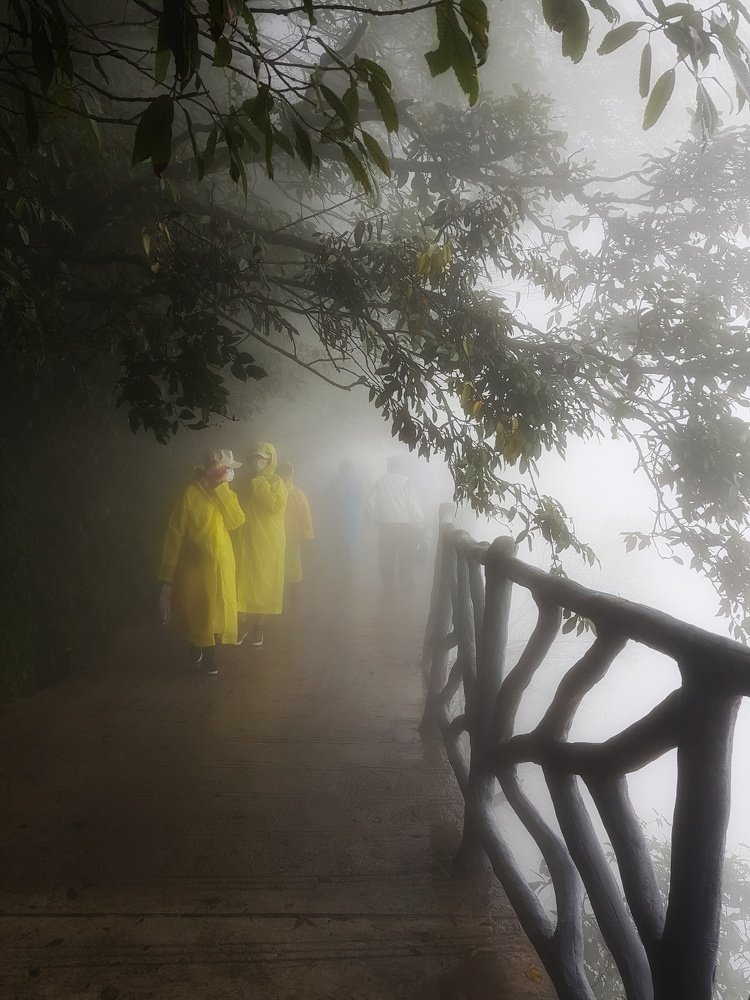 Photograph by Анастасия Петухова