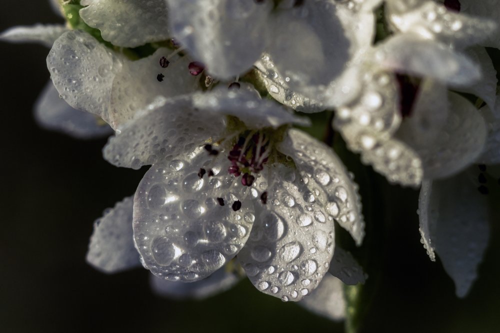 Photograph by Марина