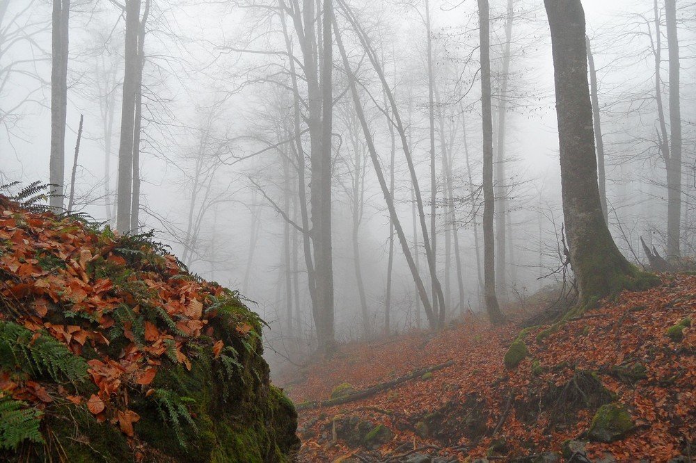 Photograph by Алексей Логинов