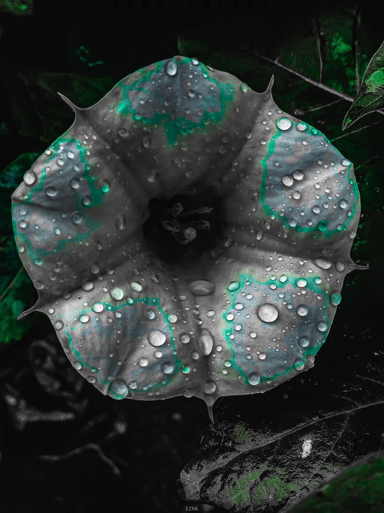 Photograph by Barnabas Oseghale