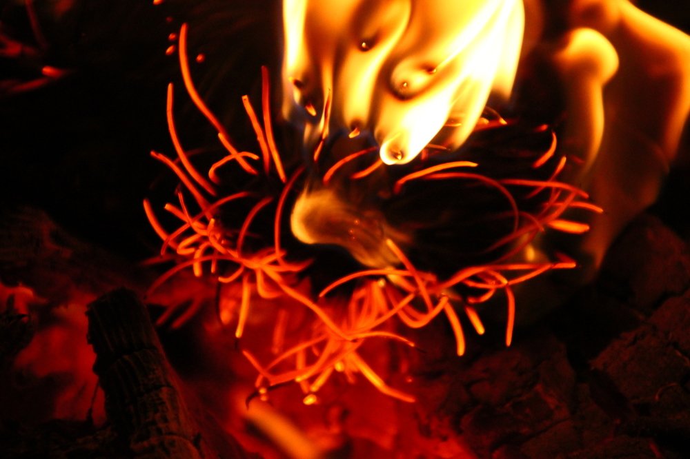 Photograph by Юлия Гудевич