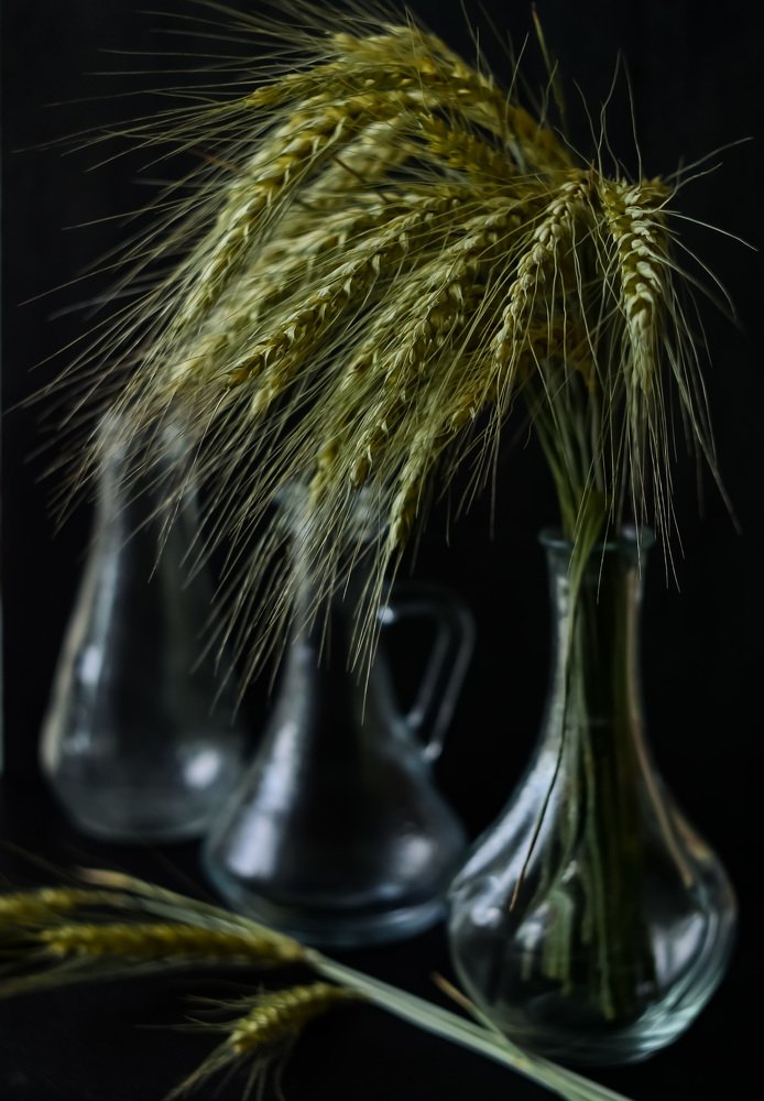 Photograph by Ирина Никульча