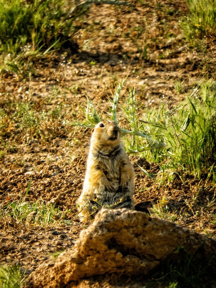 Photograph by Bahrami Ashkan