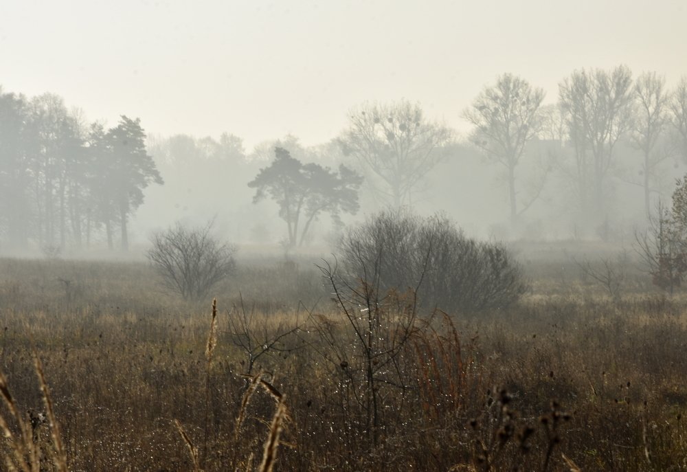 Photograph by Ирина Алексеева