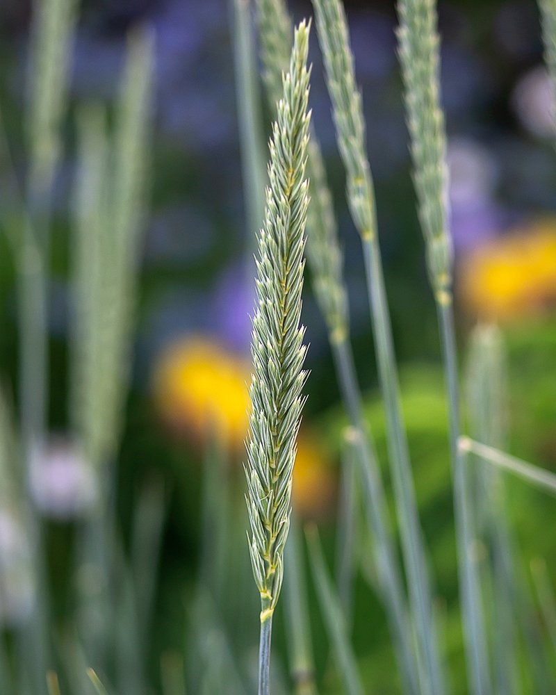 Photograph by Андрей