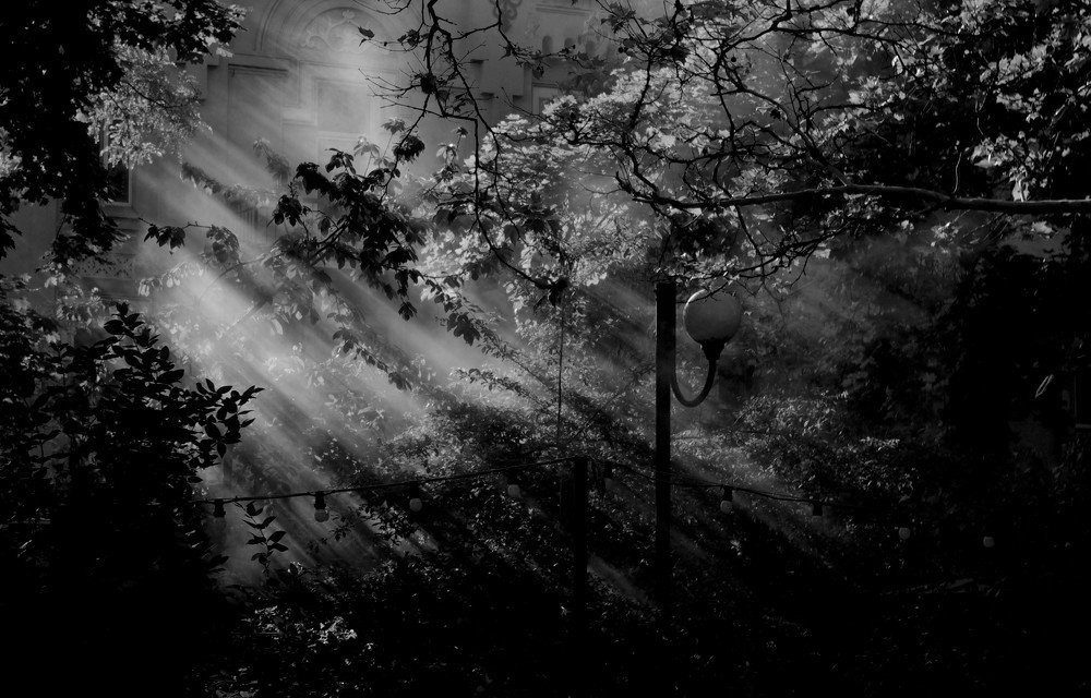 Photograph by Натали