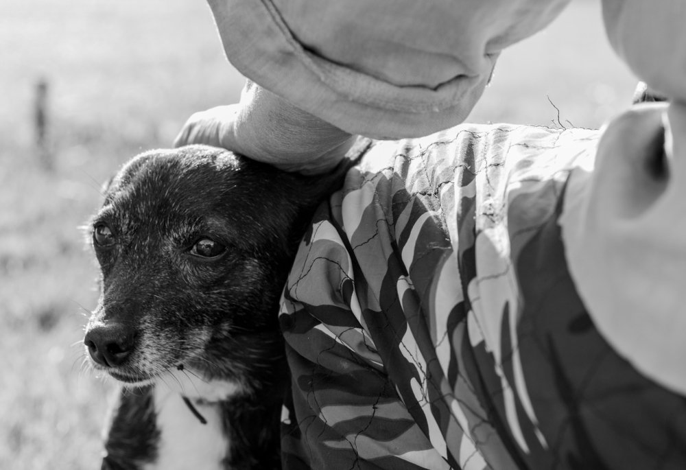 Photograph by Rusudan Khubutiya