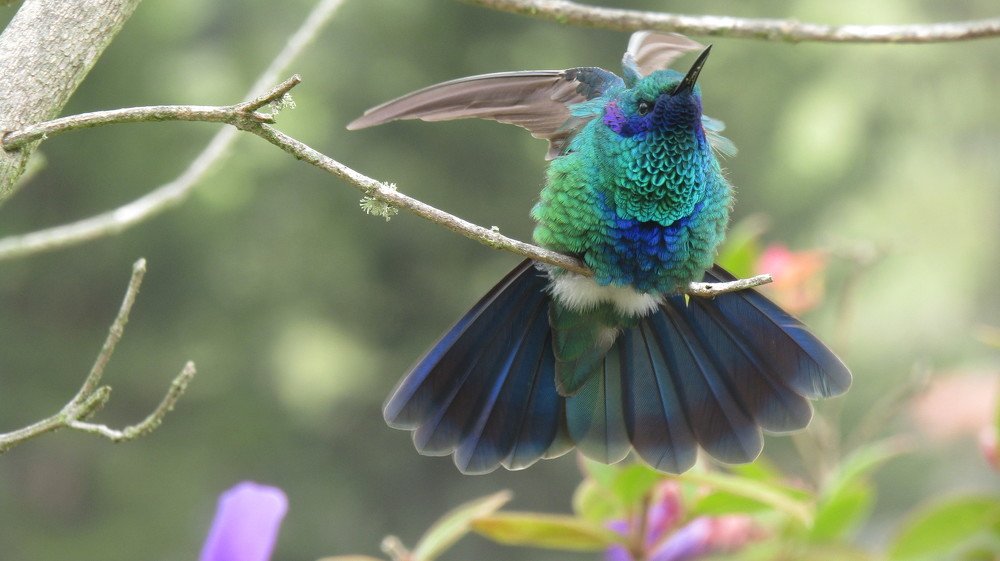 Humming.