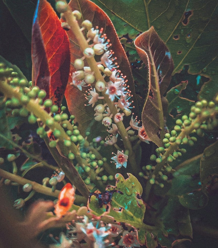 Photograph by Raphael Agu