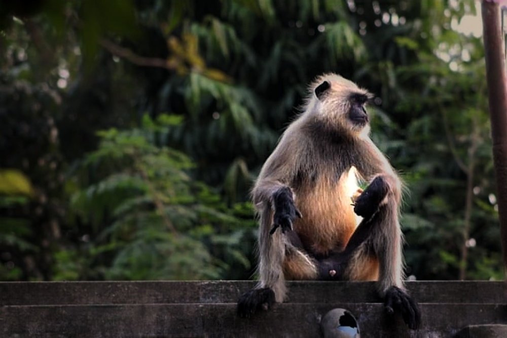 Photograph by Tofayel Ahmed