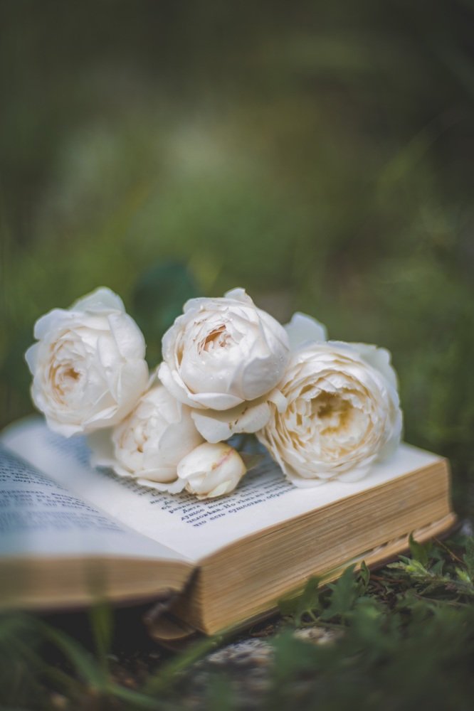 Photograph by Вера