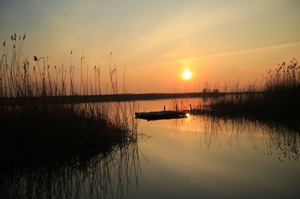 Photograph by Инга Крыжановская