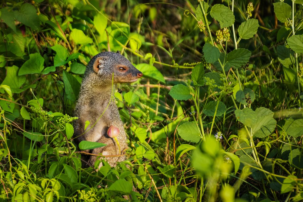 Photograph by Sameer Bhalekar