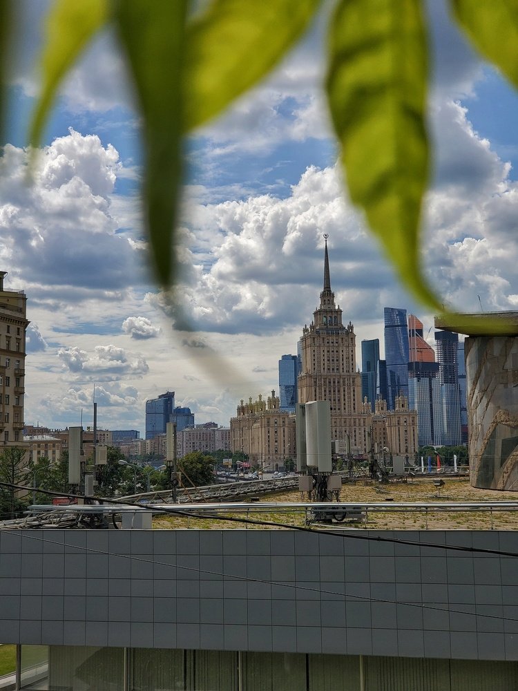 Photograph by Tatiana Potapenko