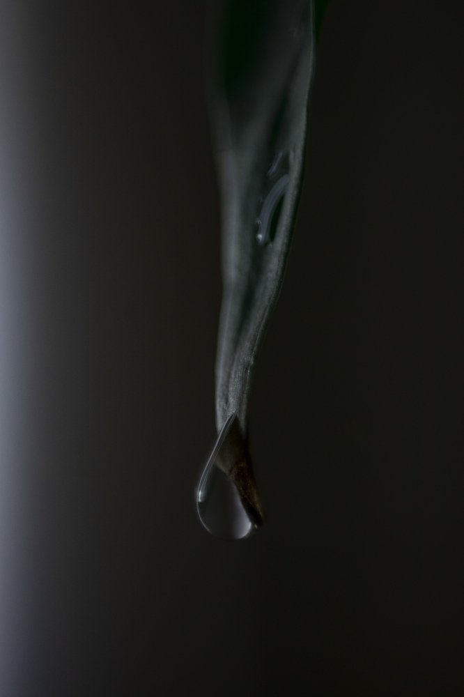Photograph by Илья Бачурин