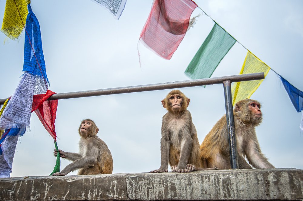 Photograph by talia duclos