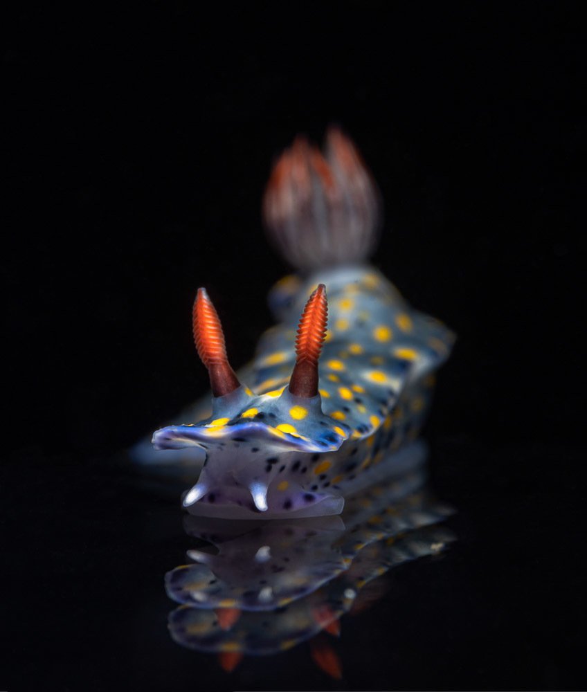 Photograph by Андрей Савин