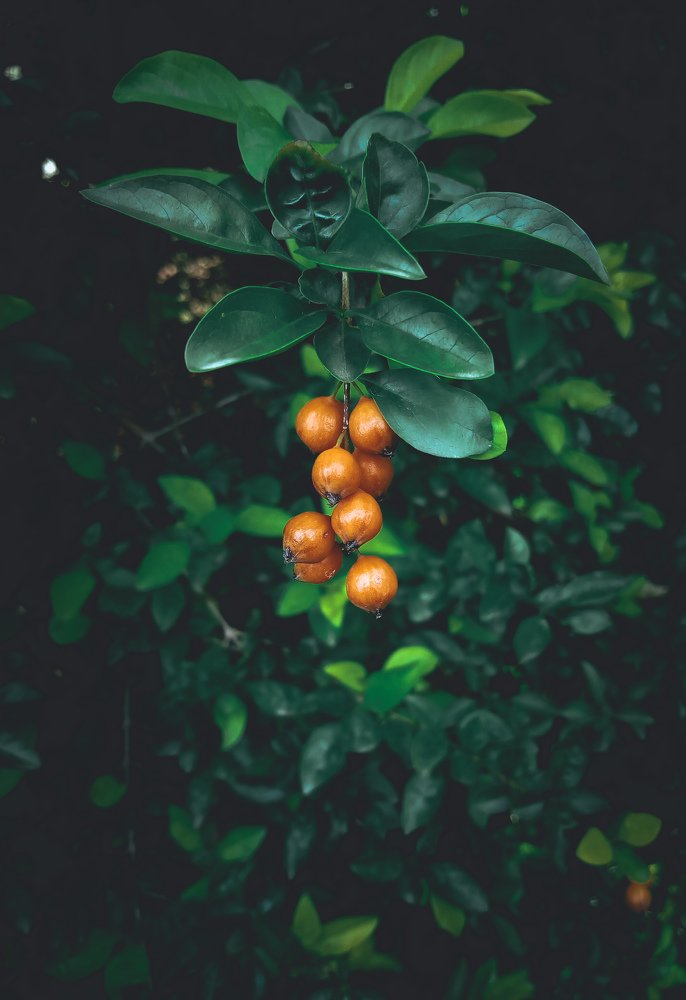 Photograph by Kingdavid Emeka