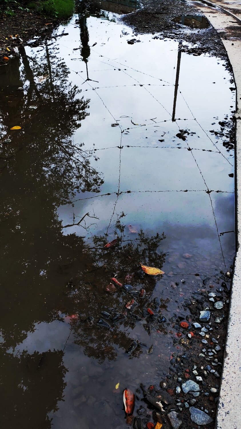 Photo #4722158