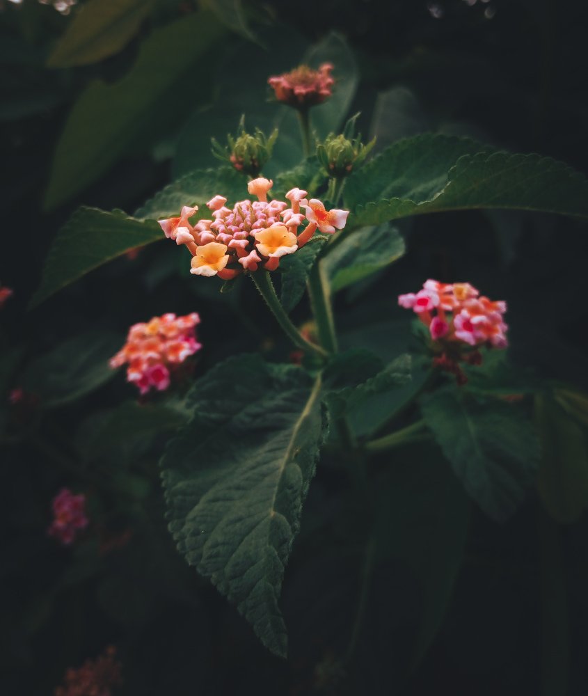 Photograph by Kingdavid Emeka