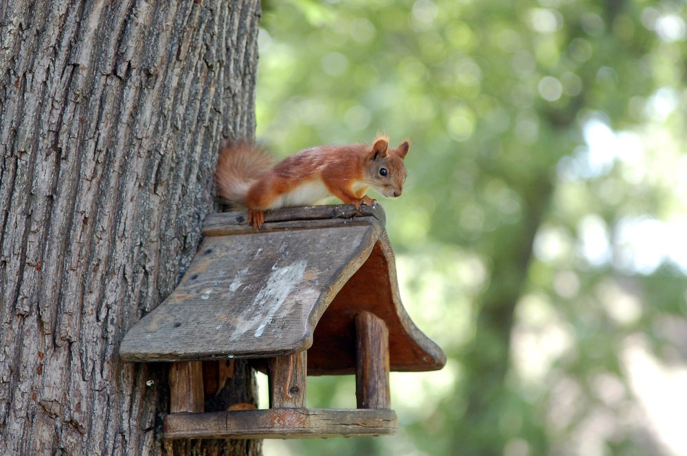 Photograph by Елена Куннова