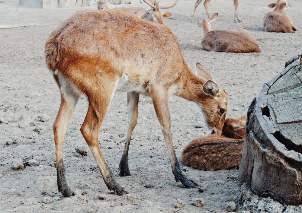 Photograph by Shramana Ghosh