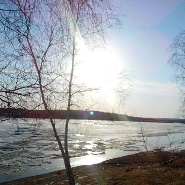 Photo #4722303