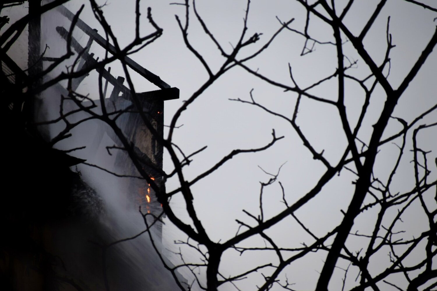 Photo #4722310