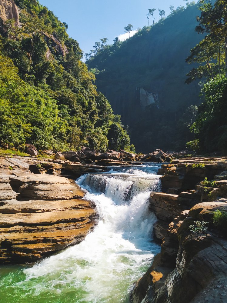 Wonderland Amiyakhum