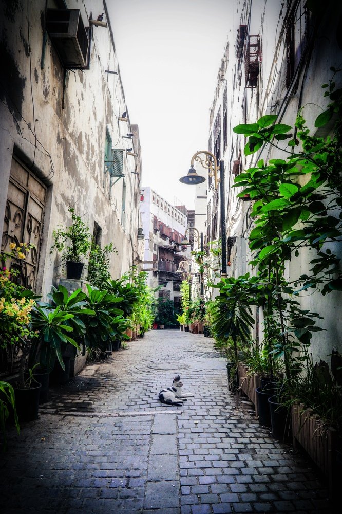 "Oldways in alldays"