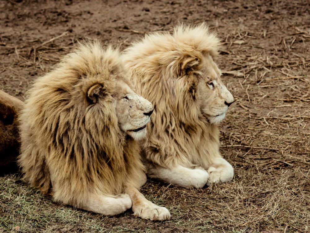 Photograph by Юлия Шумляева