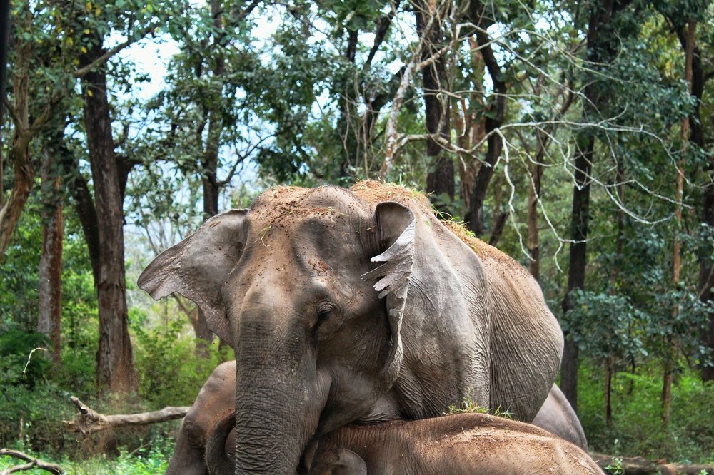 Photograph by Shramana Ghosh